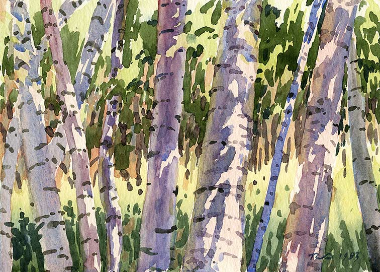 Robert Spellman watercolor of birch trees on Mt.Philo near Lake Champlain.