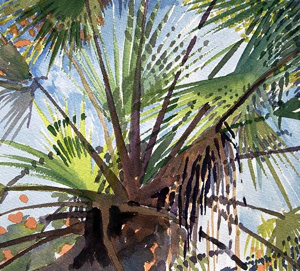 Robert Spellman watercolor of palm trees in Florida.