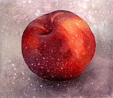 Painting of a Single Colorado Peach.