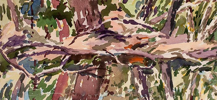 A watercolor of a forest creek in the wilderness.
