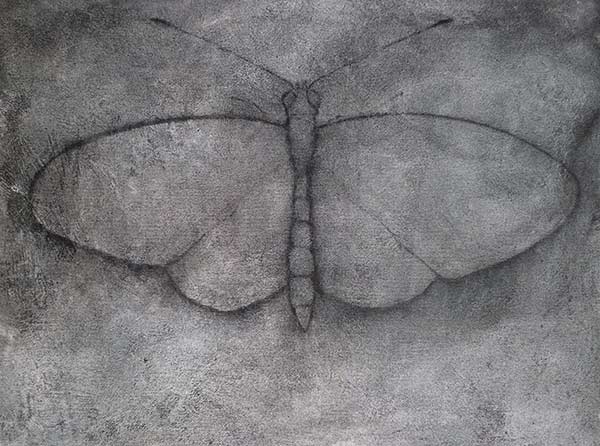 a charcoal drawing on gray prepared canvas of a moth, or as they French call it, un papillon de nuit: a night butterfly