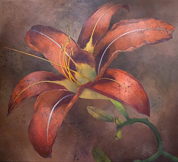 A Robert Spellman painting of a lily.