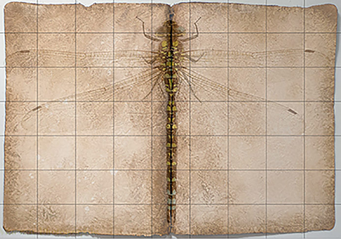 Robert Spellman mockup of a dragonfly book.