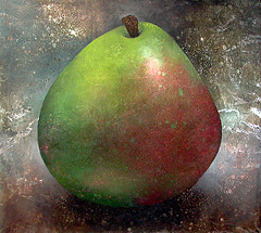 Painting of a Single Colorado Peach.