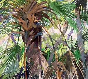 watercolor of a wild palm grove