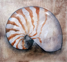 A painting of a single nautilus shell
