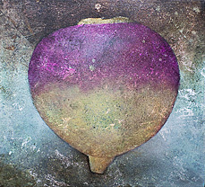 A painting of a single turnip