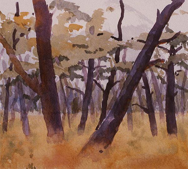 Watercolor painting of pine woods with feathery grass.