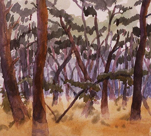 Watercolor painting of pine woods with feathery grass.