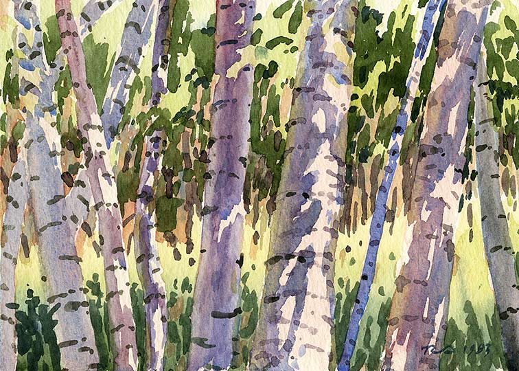 Watercolor painting of dappled light on birch tree trunks.