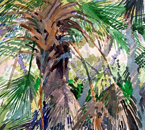 Watercolor painting of sun dappled palm trees.