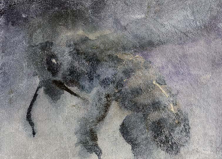 A rough painting of a honey bee up close.