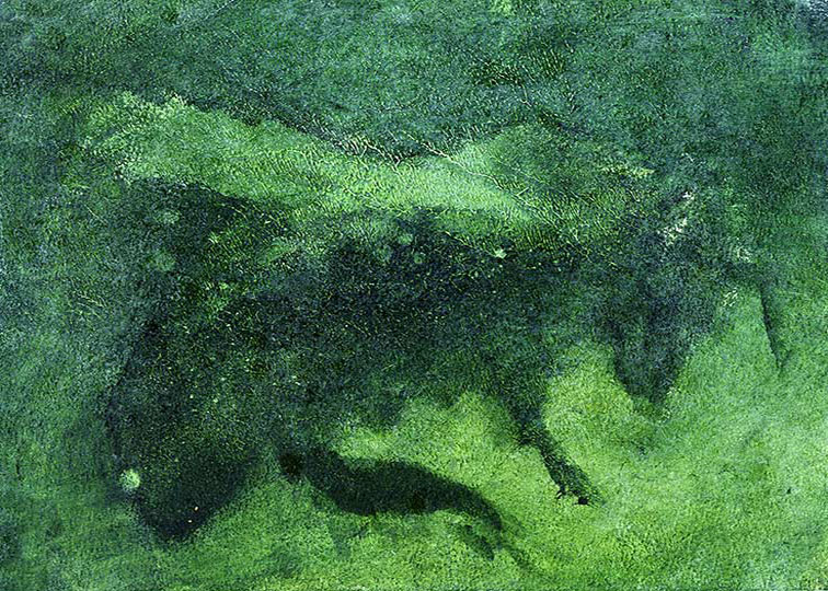 Study in green of a honey bee.
