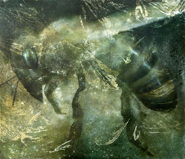 Robert Spellman painting of a honey bee.