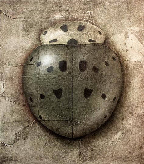Painting of a lady beetle.