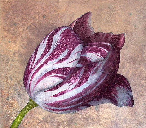 Robert Spellman painting of a Dutch tulip.
