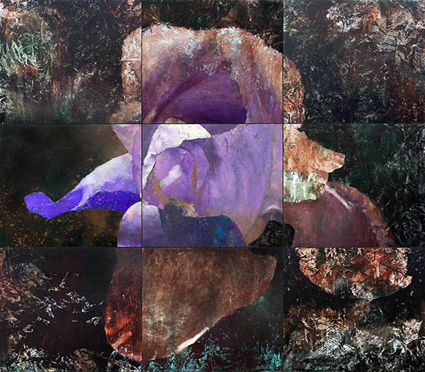 Nine panel painting of a single iris flower.