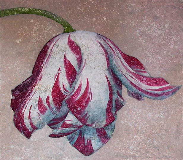 Painting of a single red and white Dutch tulip.