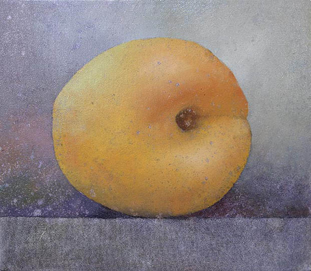 Painting of a single apricot.