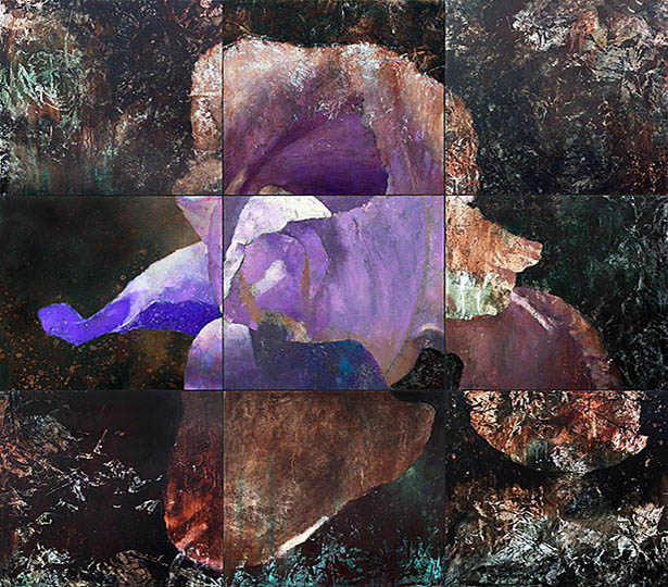 Large painting of a single iris.