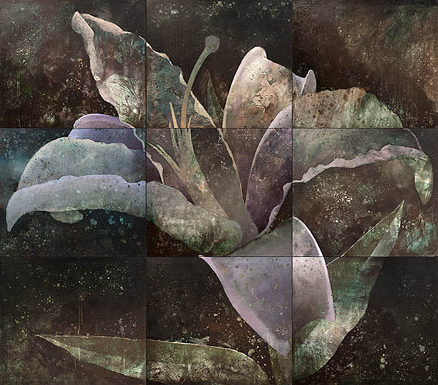 Robert Spellman painting of a lily.