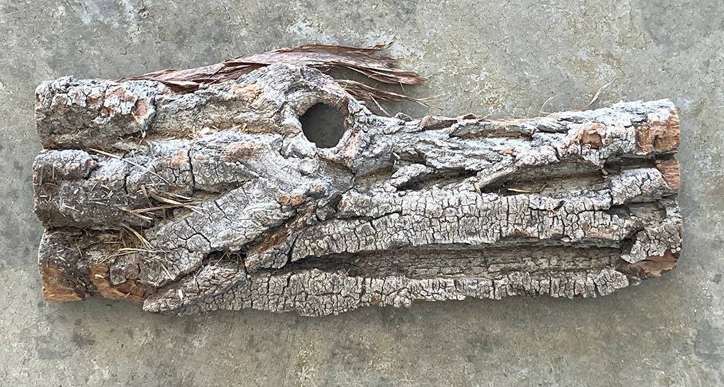 Photograph of a piece of tree bark that looks like a primitive horse.