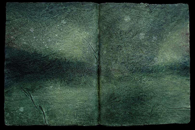 Painting of a green-ish landscpe, in the form of an ancient book.