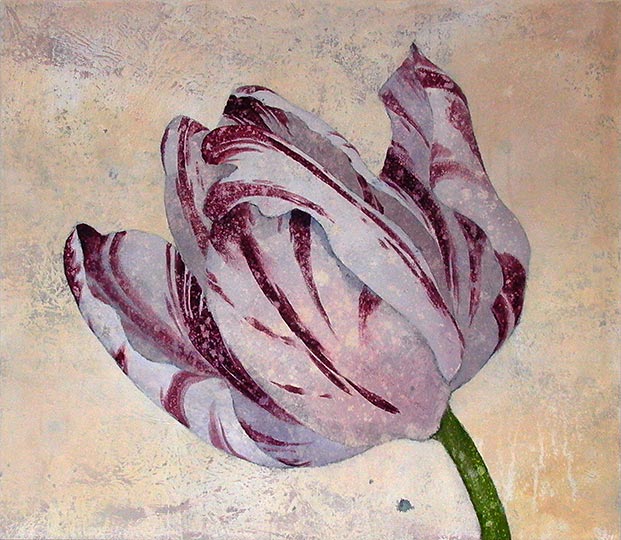 Robert Spellman painting of a white and red tulip.