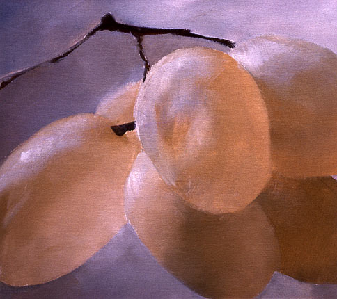 Robert Spellman painting of light coming through a bundle of grapes.