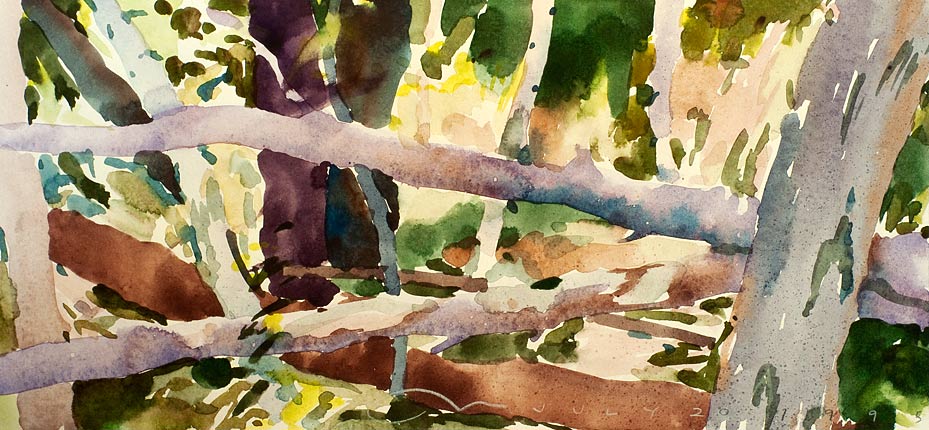 Robert Spellman watercolor of a stream with standing and fallen trees.