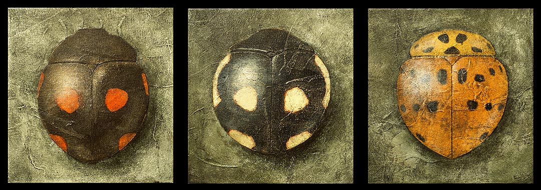 Three small paintings of lady beetles.