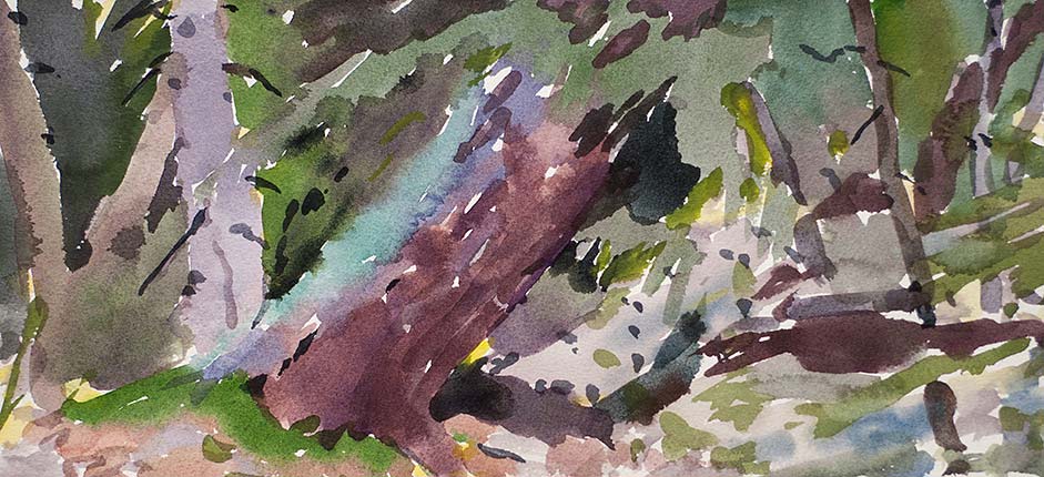 A Robert Spellman watercolor of a Rocky Mountain woods.